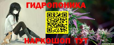 каннабис Будённовск